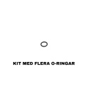 O-Ring / Reg Seat Kit till STORM Category 5