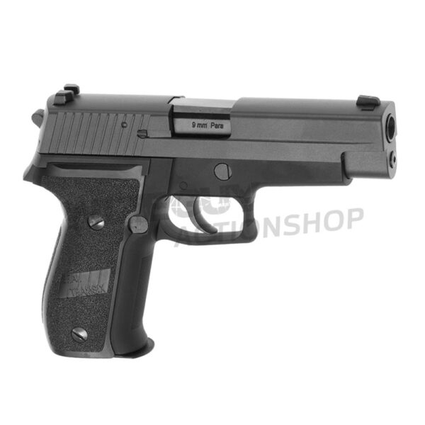 WE F226 GBB - Bild 3