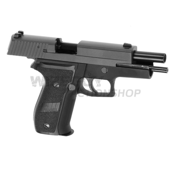 WE F226 GBB - Bild 4