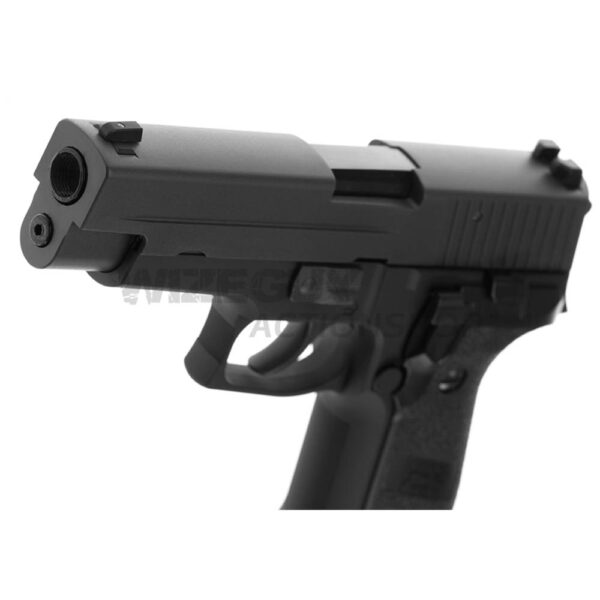 WE F226 GBB - Bild 5