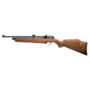 Artemis cr600w co2 5. 5mm 3 Ag art gun 0004 1