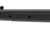 Hatsan 125 5. 5mm 5 Ag hatsan 0044 2