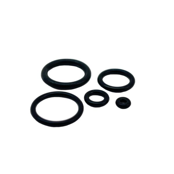 Regulator Oring Kit - Bild 2