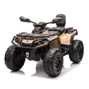 Can-am atv 4x4 800w 24v-7ah